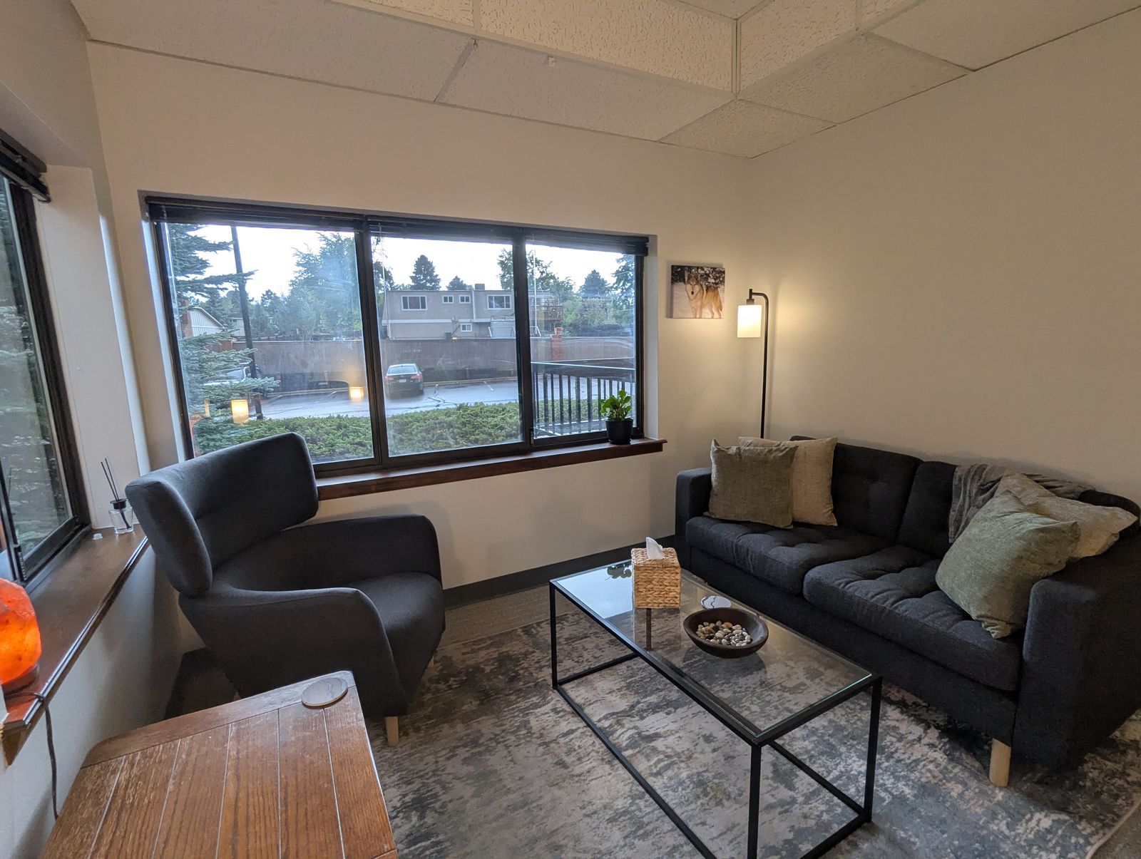 Seating area in the therapy office: a dark sofa with green pillows, an armchair, and a wide window
